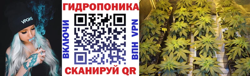 площадка как зайти  Соль-Илецк  МАРИХУАНА SATIVA & INDICA  наркотики 